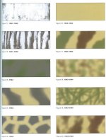 German_Camouflage_Patterns_2_small.jpg