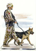 British military policeman with sniffer dog  CC59151.jpg