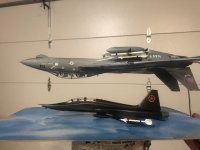 Topguninverted.jpg