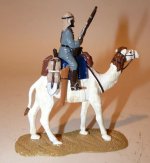 Trophy Turkish Camel 3.jpg