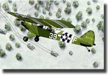 L-4H Grasshopper.jpg