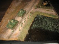 Howards Vietnam Diorama 1.jpg