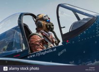 flying-bulls-pilot-in-his-chance-vought-f4u-4-corsair-aircraft-on-HYRPW7.jpg