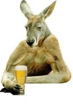 Roo Drinking Beer.jpg