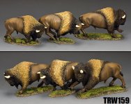 TRW159(L).jpg