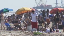 6252628_galveston-beaches-packed-TN-img.jpg