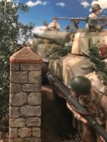 1 Honour Bound Infantry & Shermans 3.jpg