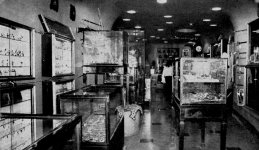 1972-12-003-W-Tradition-Sho.jpg