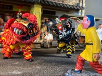 3_Lion Dance Scene 2.jpg