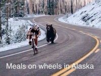 Bear-Chasing-Cyclist.jpg