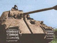 panther-2.jpg