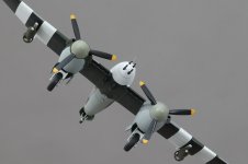 westland 7.jpg