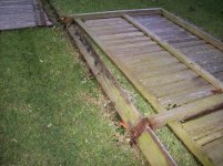 Hurricane Nicholas (11).jpg