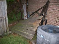 Hurricane Nicholas (12).jpg