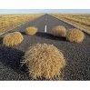 tumbleweed-roadkill-250x250w.jpg