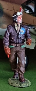 flying tigers NEW PILOT A.jpg