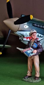 flying tigers NEW PILOT 2.jpg