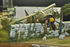 perTreefrog17.jpg