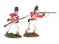17882.jpg