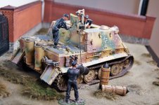 Collector Showcase Sturmtiger Normandy 3_edited.jpg