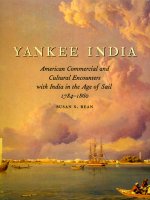 YankeeIndia.jpg