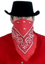 cowboybandana.jpg