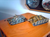 21st 2xStugs1.jpg