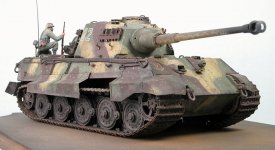 tigeriicl_3.jpg