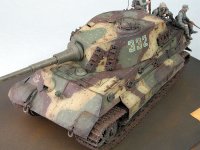 tigeriicl_2.jpg