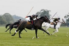 Tent-Pegging.jpg