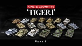 Tiger_Part 2_700.jpg