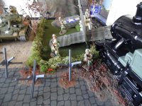 SAM_1115.JPG