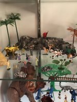 IMG_2683.jpeg