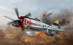 August warbirds 1.jpg