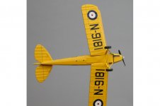 TIGER MOTH 3.jpg