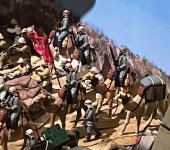 Trophy WWI Turkish Pack Camel 4.jpg