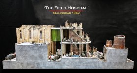 THE FIELD HOSPITAL.jpg