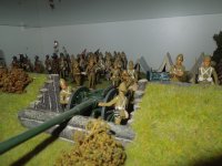 DSCN6528.jpg