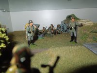 DSCN6546.jpg