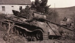 Panther #101_2.jpg