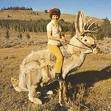 jackalope.jpg