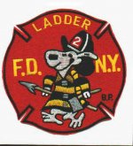 patch  ladder 2 fdny.jpg