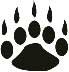 bearpaw.jpg