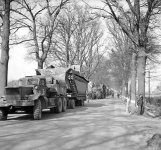 642px-Buffaloes_being_transported_forward_in_preparation_for_crossing_the_Rhine.jpg