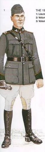 Irish Infantry 01.jpg