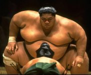 sumo-.jpg