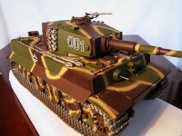 RMinchampsTiger10001a[1].jpg