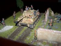 tiger 20090525.jpg