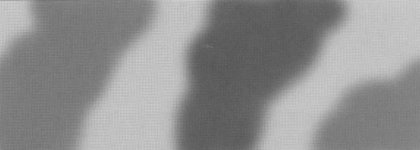 German_Camouflage_BW_Small.jpg