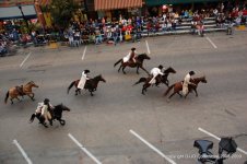 DSC_0210.JPG